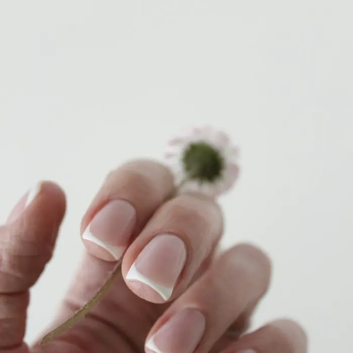 French Tips nail style